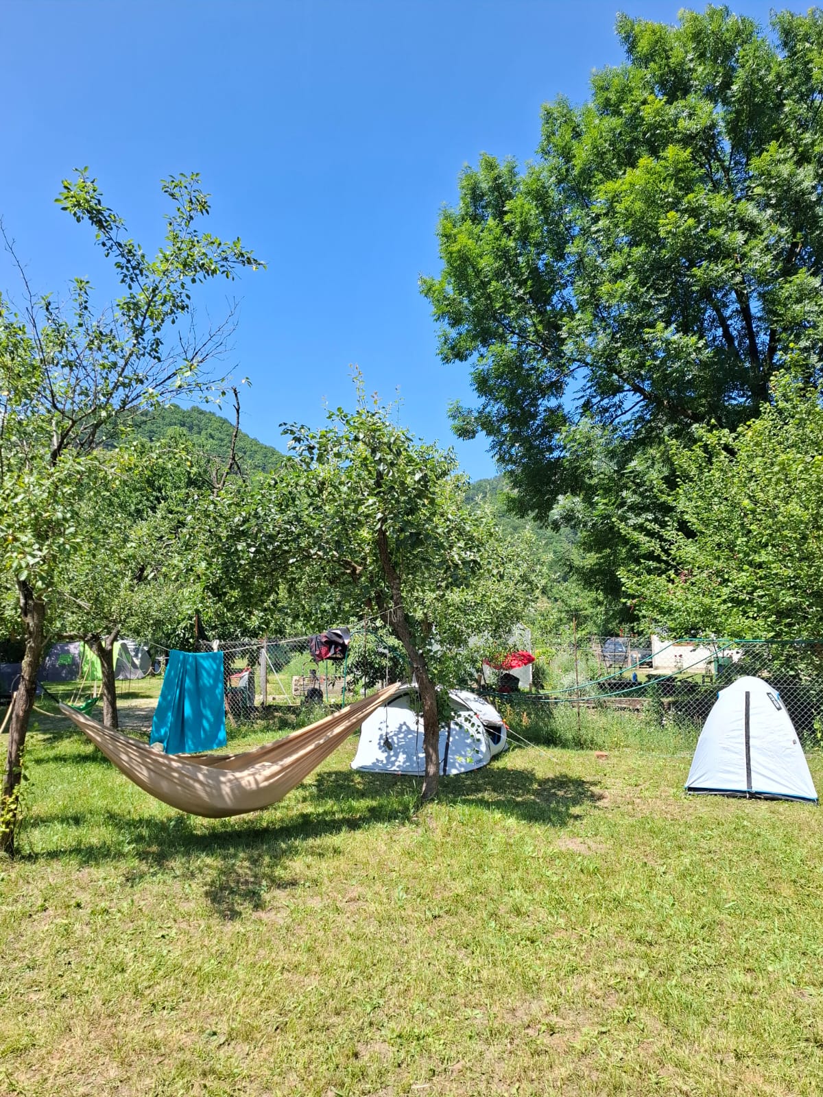 Camping Grădina cu Flori - Foto 17