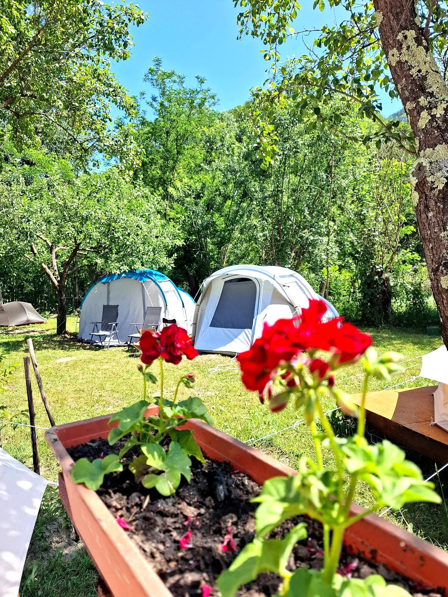 Camping Grădina cu Flori - Foto 4