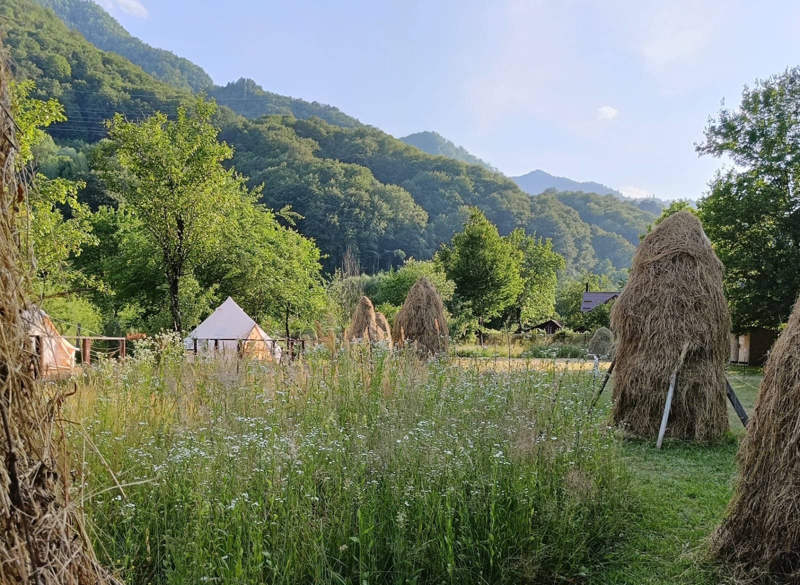 Camping Grădina cu Flori - Foto 18