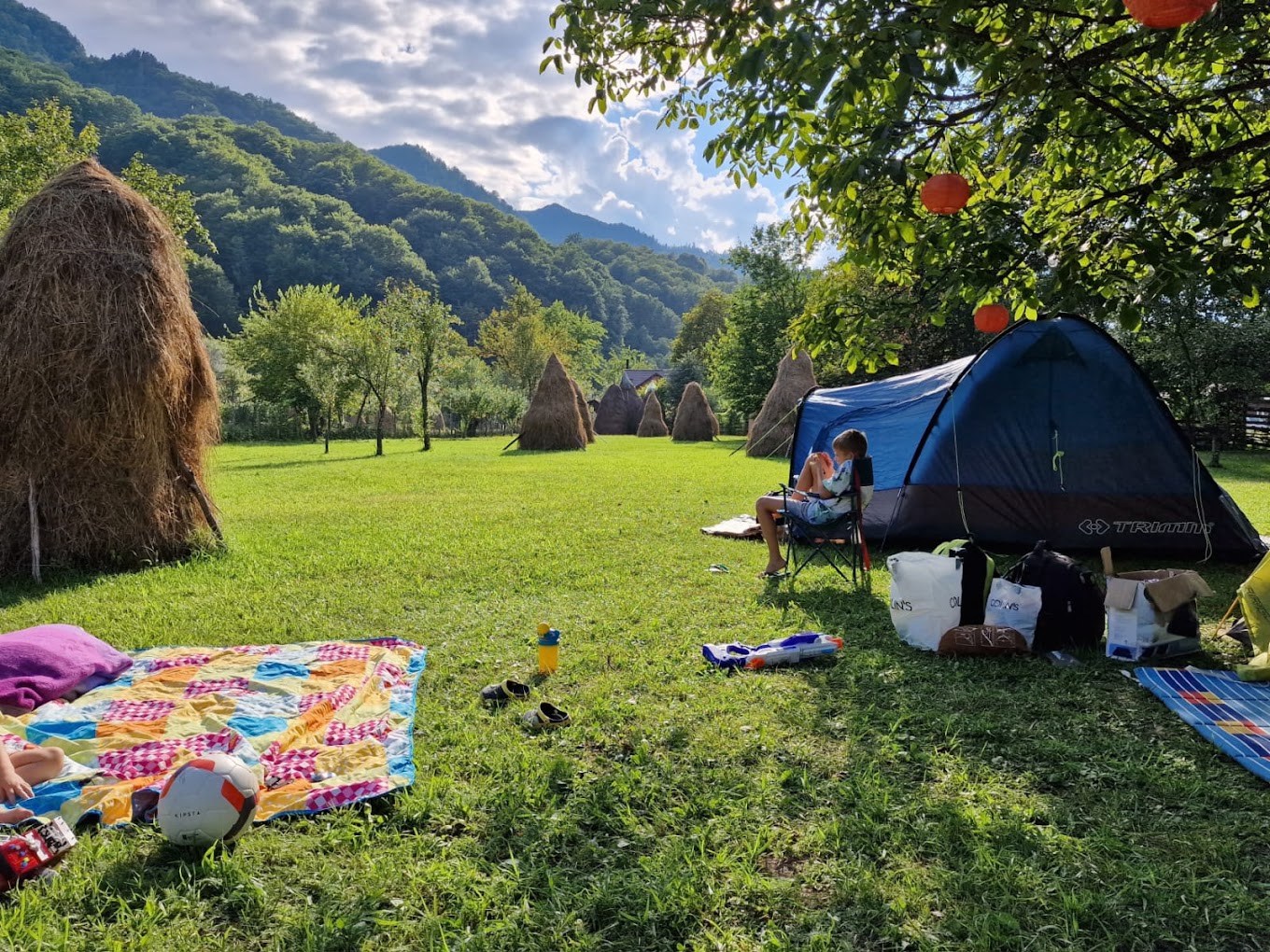 Grădina cu Flori Orchard