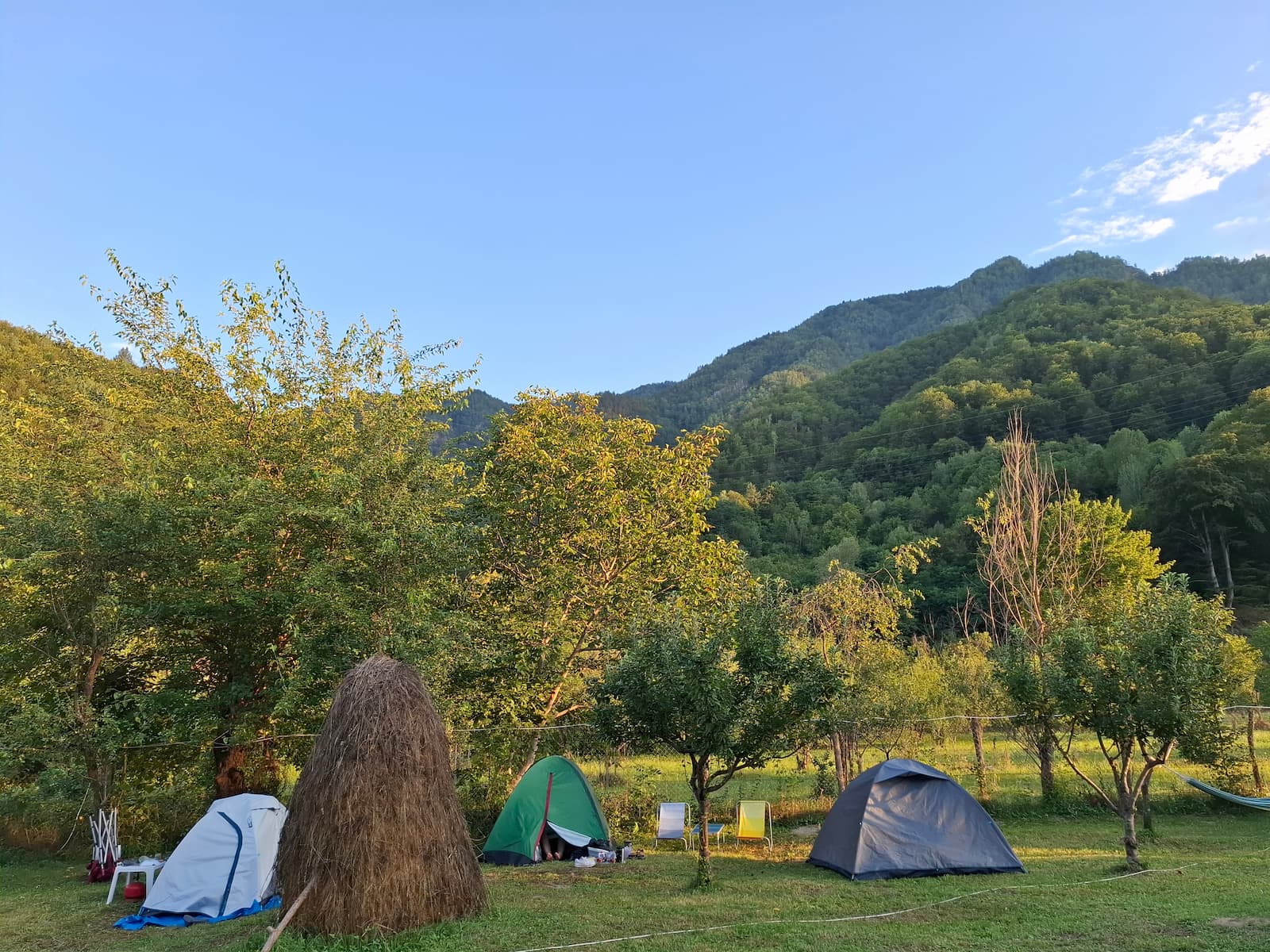 Zona Meri-Mesteceni