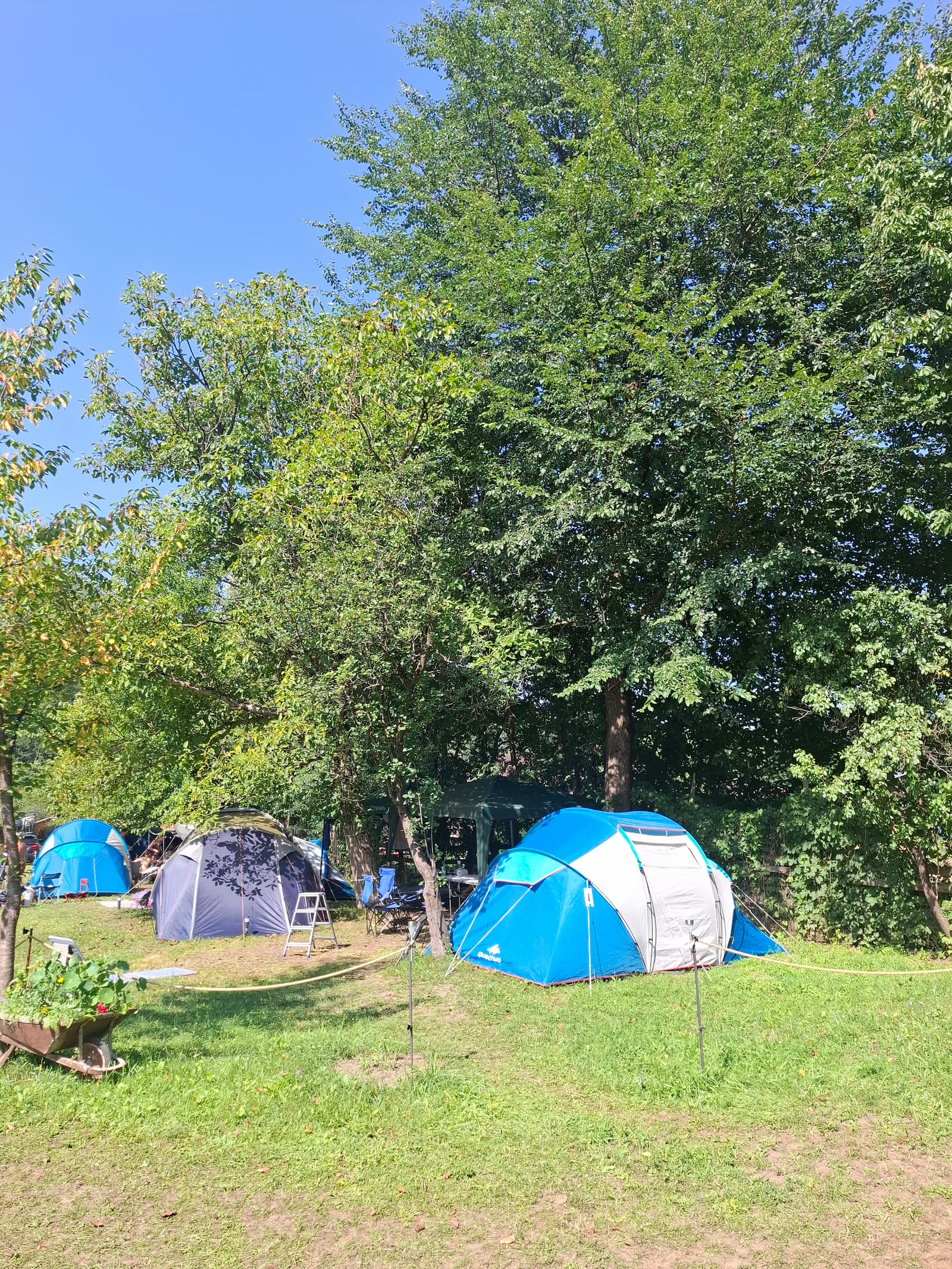 Camping Grădina cu Flori - Foto 6